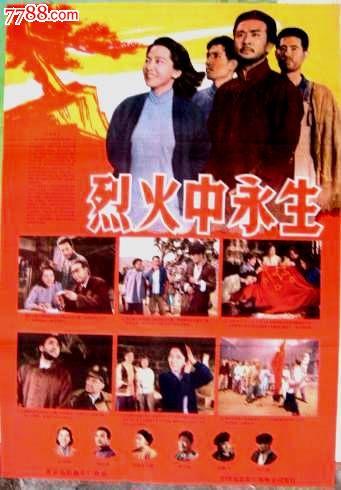 怎么购买阿尔巴尼亚驾驶证